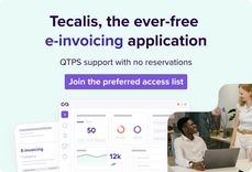 eInvoicing access list
